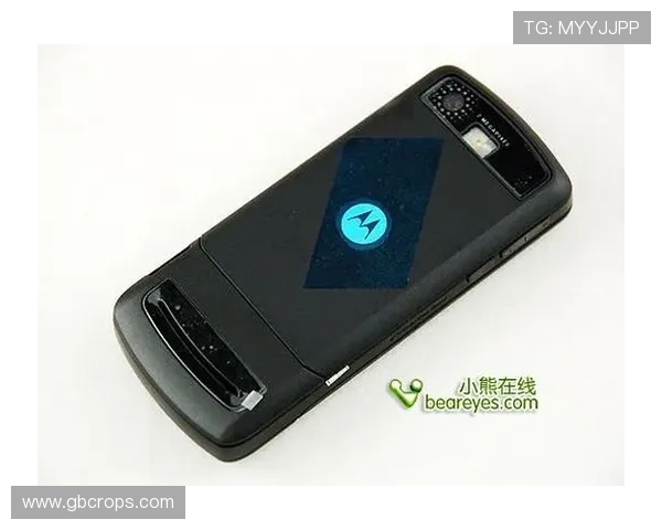 Z6网址娱乐的特色功能全面解析助你玩转线上娱乐世界