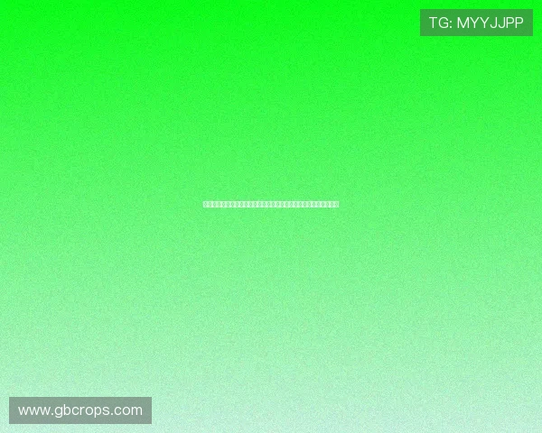 尊龙国际:引领豪华娱乐新体验,打造尊贵尊荣的尊龙国际生活方式