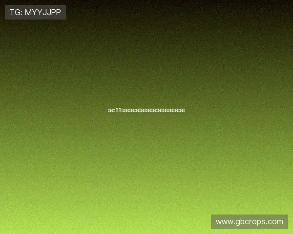 尊龙d88会员登录入口最新更新确保用户顺畅登录享受丰富游戏资源