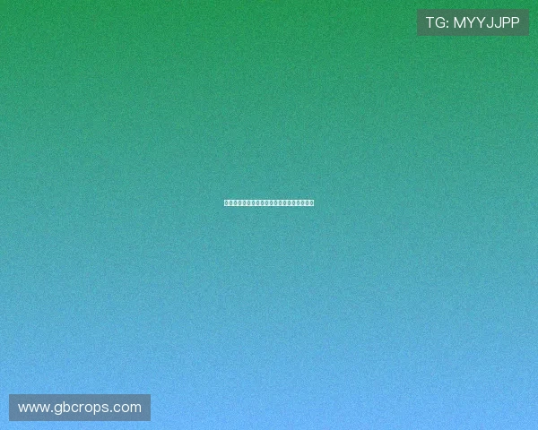 未来趋势下的尊龙凯时合作平台市场扩展策略