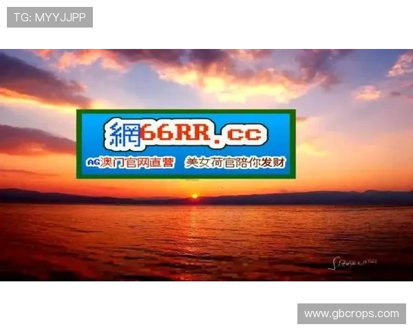尊龙凯时手机版下载官网用户评价与反馈，持续优化游戏内容满足广大玩家的多样化需求