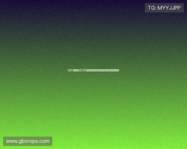 G6 龙凯时：2026世界杯最新比赛结果与精彩瞬间集锦全方位回顾