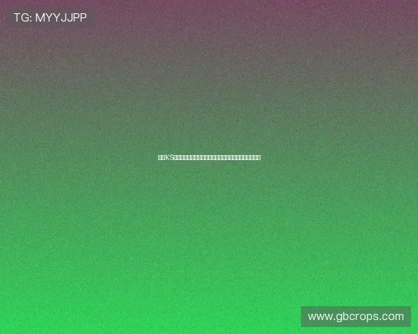 凯时KS线上登陆助力用户轻松登录观看世界杯直播赛事全程无忧
